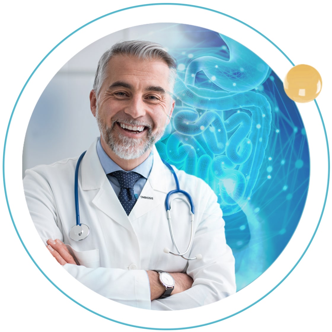 about-doktor
