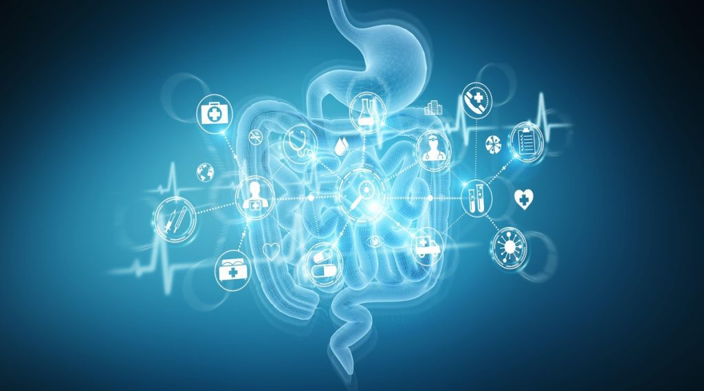 microbiome analysis report example