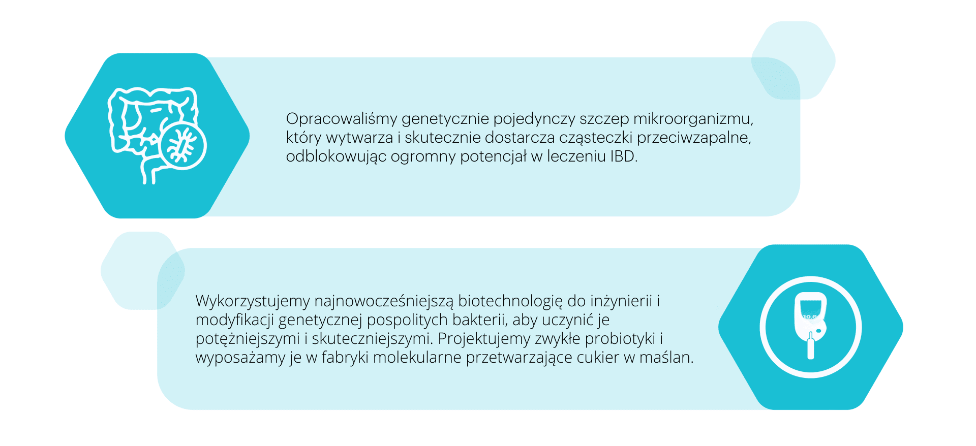Paragraf metniniz (6)