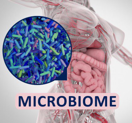 Microbiome Diversity