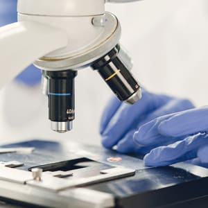 d6c7bd7a28e2e7067c0aa17