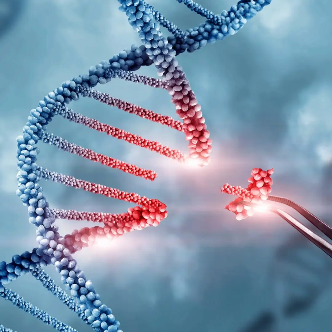 ENBIOSIS next-gen probiotics and live biotherapeutics