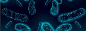 طقم اختبار تحليل ميكروبيوم الأمعاء