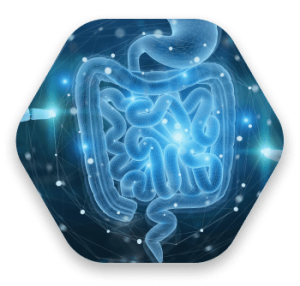 Enbiosis gut health
