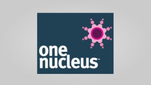 One Nucleus