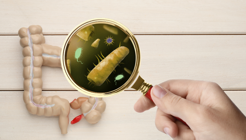 How is Gut Bacteria Analysis Changing Patient Care? - ENBIOSIS