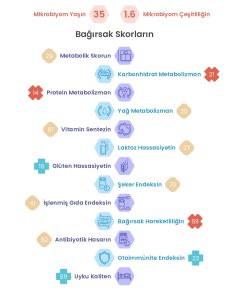 Turkish report scores
