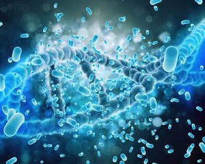 Gut microbiome analysis service