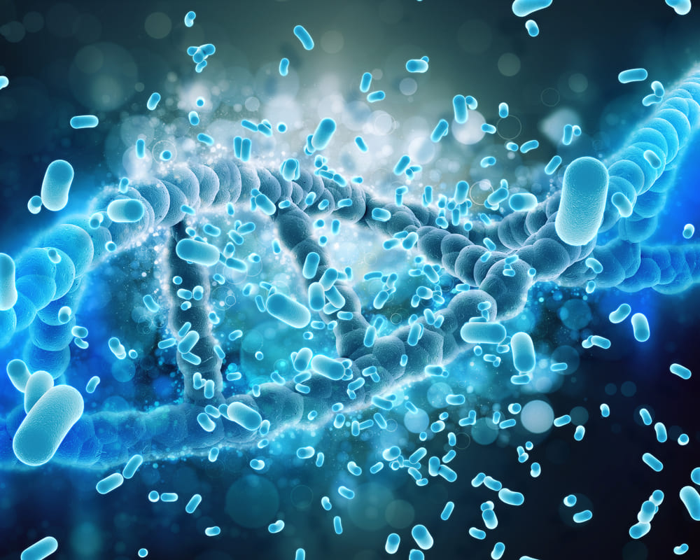 Gut microbiome analysis service