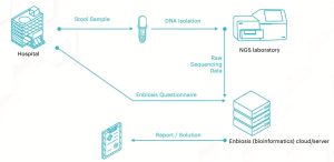 Gut microbiome analysis service process
