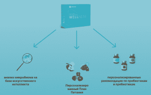 Wellness