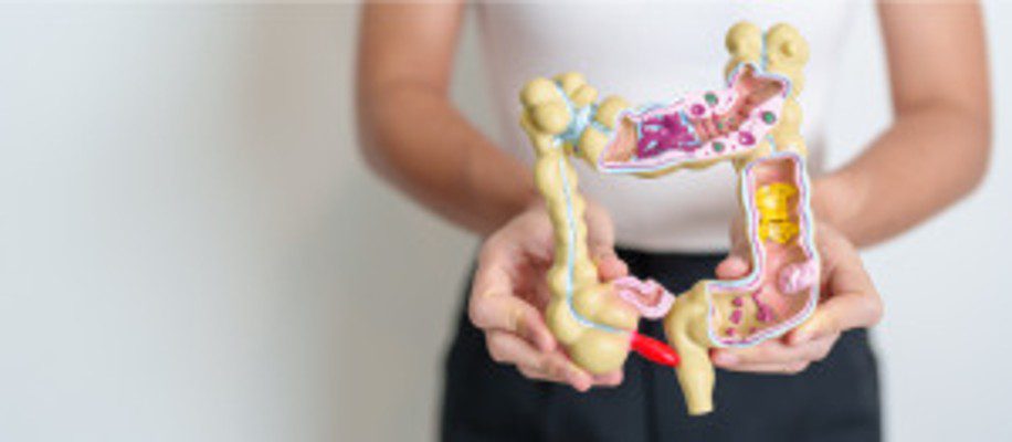 Digestive Health