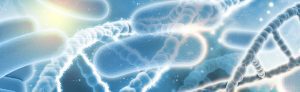 dna-bacterias(1)