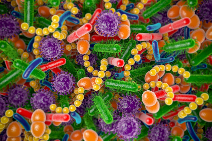 Actionable Microbiome Insights for Clinicians