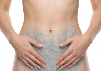 Digestive